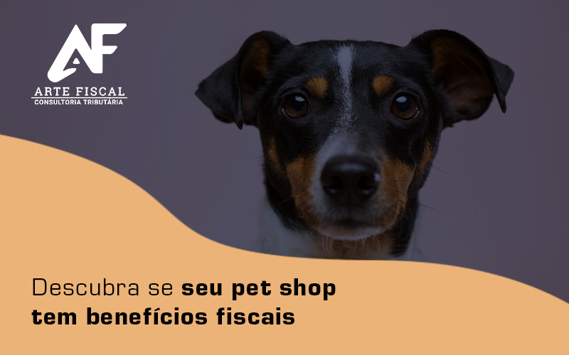Descubra Se Seu Pet Shop Tem Beneficios Fiscais Blog - Recuperação de Impostos | Arte Fiscal