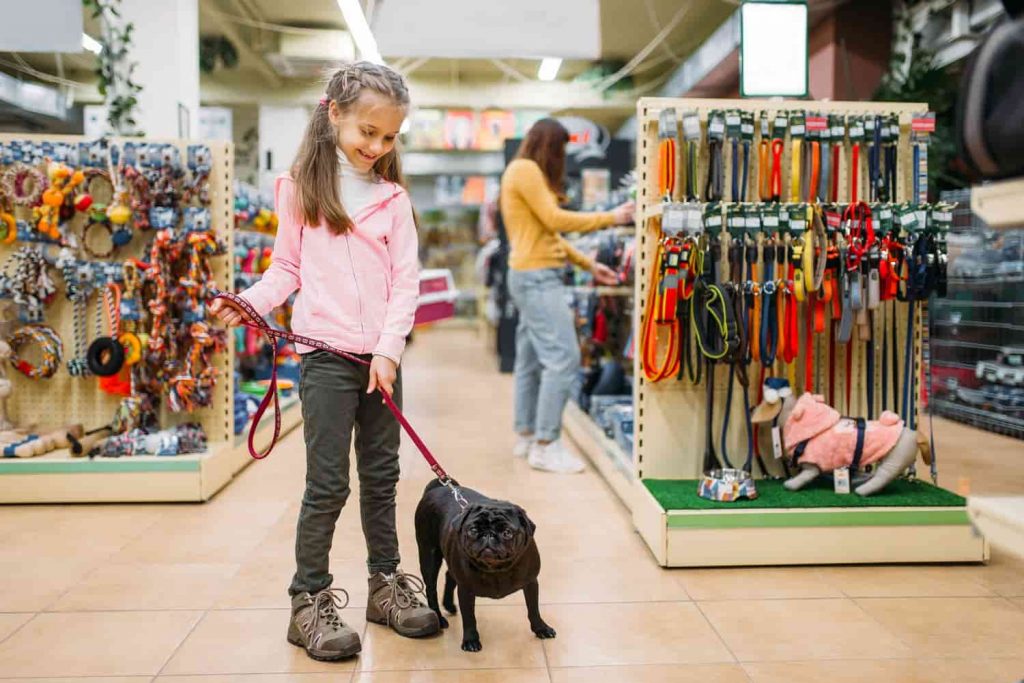 Recupere A Csll E Reduza Custos Em Seu Pet Shop Com Nossas Dicas Infalíveis! - Recuperação de Impostos | Planrec Gestão Tributária