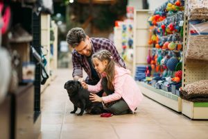 Cnae Petshop O Guia Essencial Para Empresários De Pets - Recuperação de Impostos | Planrec Gestão Tributária