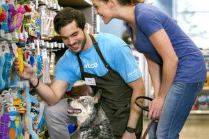 Abertura De Mei Para Pet Shop Saiba Como Fazer E Os Principais Benefícios! - Recuperação de Impostos | Planrec Gestão Tributária