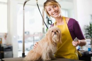 O Guia Completo Da Recuperação Tributária Em Pet Shop. Aprenda Como Fazer E Os Benefícios - Recuperação de Impostos | Planrec Gestão Tributária