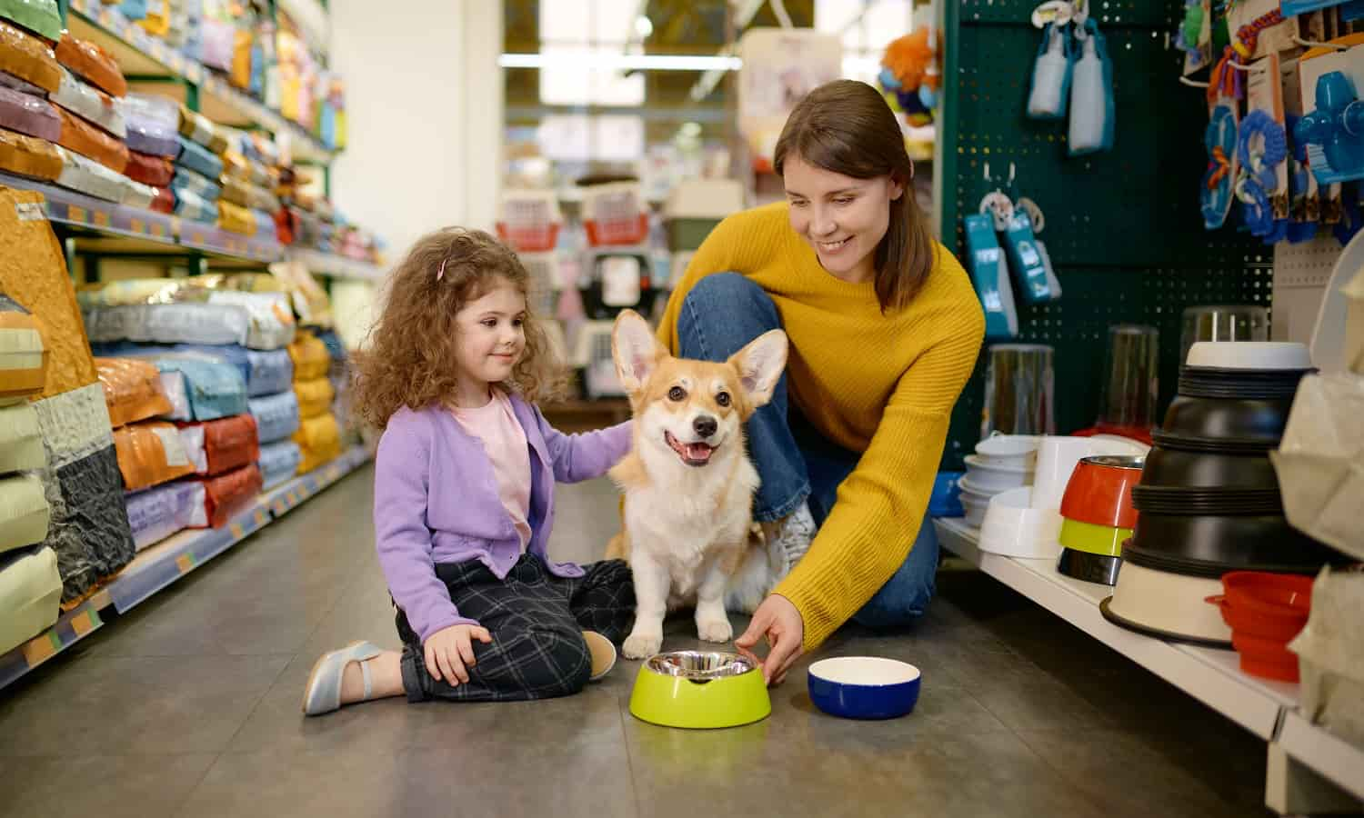 Gestão De Estoque Para Lojas De Pet Shop Dicas Essenciais - Recuperação de Impostos | Planrec Gestão Tributária